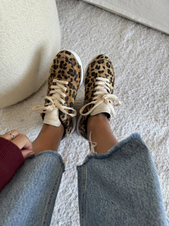 ALICANTE ANIMAL PELO en internet