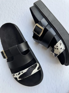 BORNEO NEGRO VACA - KALMA INNATA