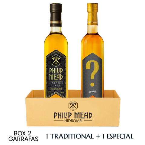 Box Surpresa com 2 garrafas - comprar online