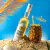 Hidromel Philip Mead Fresh Pineapple - 500 ml - loja online