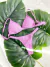 BIKINI CHIARA MORLEY en internet