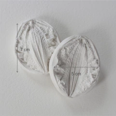 Clematis Grande Cód. 8104 en internet