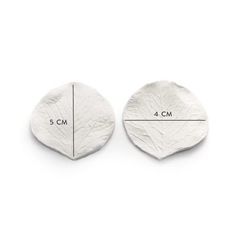 Hoja Eucalipto Cód. 8019 - comprar online