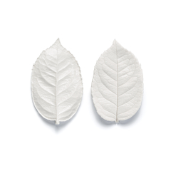 Hoja Rosa Grande Cód. 8077