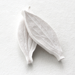 Hoja Peonía Cód. 8108