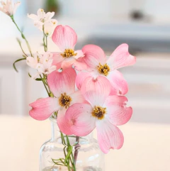 Cornejo Cód. 8119 - Erica Giovanetti