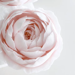 Cortante De Pétalos Chicos Cód. 002 en internet