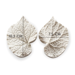Hoja Begonia Grande Cód. 8067 en internet
