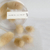 Flores comestibles- COLITA DE VISON - tienda online