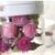 Flores comestibles- GOMPHRENA en internet