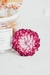 Flores comestibles- SIEMPRE VIVA. - tienda online