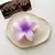 Broche Flor Hawaiana (PREVENTA) - comprar online