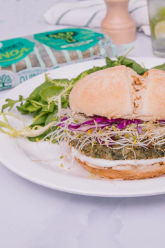 Quinoa Burguer Lentil - Nutree - comprar online