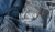 Banner de Loca.