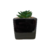 Cachepot Suculenta Esmaltado