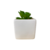 Cachepot Suculenta Esmaltado - comprar online