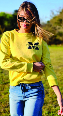 Buzo Michigan - comprar online