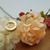 AROS CLIP ARENADO ACERO DORADO - comprar online
