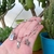 PULSERA DOBLE CACTUS