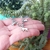 PULSERA CABALLO - tienda online