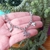 PULSERA CABALLO