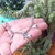 Imagen de PULSERA CABALLO