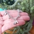 PULSERA PATÍN - comprar online