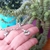 PULSERA MATE CORAZÓN