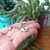 PULSERA TRES GATITOS - comprar online