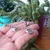 Imagen de PULSERA CHEF