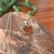 COLLAR GATITO - tienda online
