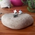 CONJUNTO CRUZ