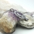 COLLAR SIRENA