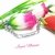 PULSERA TE QUIERO MUCHO