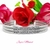 ESCLAVA ROLO CUADRADO - comprar online