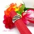 ANILLO LINEAS CON DORADO
