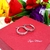 AROS ARGOLLA STRASS ROSA