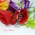 COLLAR ADN