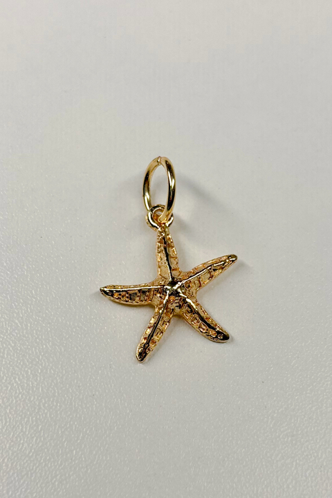 PINGENTE ESTRELA DO MAR - comprar online