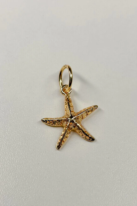 PINGENTE ESTRELA DO MAR - comprar online