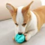 Pelota dental para mascotas - Ama & Pola
