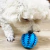 Pelota dental para mascotas en internet