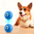Pelota interactiva mascotas