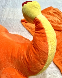 Peluche Con Manta Dentro Charmander en internet