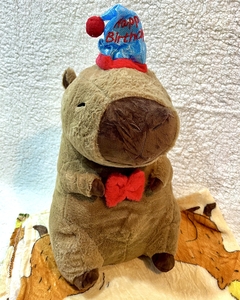 Peluche Con Manta Dentro Capybara Cumpleañitos