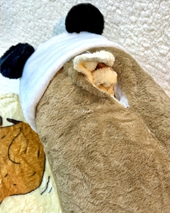 Peluche Con Manta Dentro Capybara Panda - comprar online