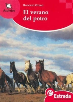 VERANO DEL POTRO (AZULEJOS ROJO 11-15 AÑOS) DE OTERO RODOLFO