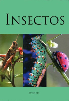 Insectos