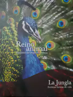 REINO ANIMAL (La jungla, exóticas formas de vida)