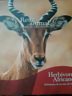 REINO ANIMAL (Herbívoros Africanos, habitantes de un mar de hiebas)